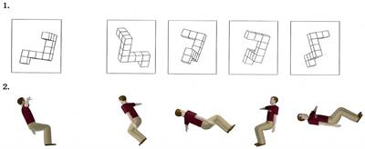 Axial rotation affects the cognitive characteristics of spatial ability